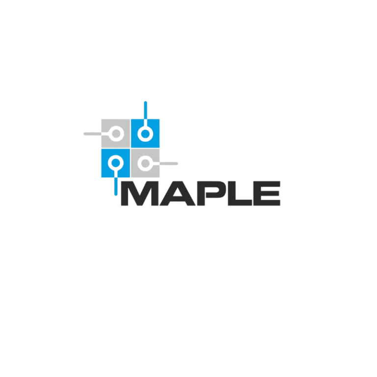 Maple ERP – Customization Platform