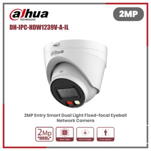 2MP Entry Full-color Fixed-focal Wi-Fi Eyeball Network Camera