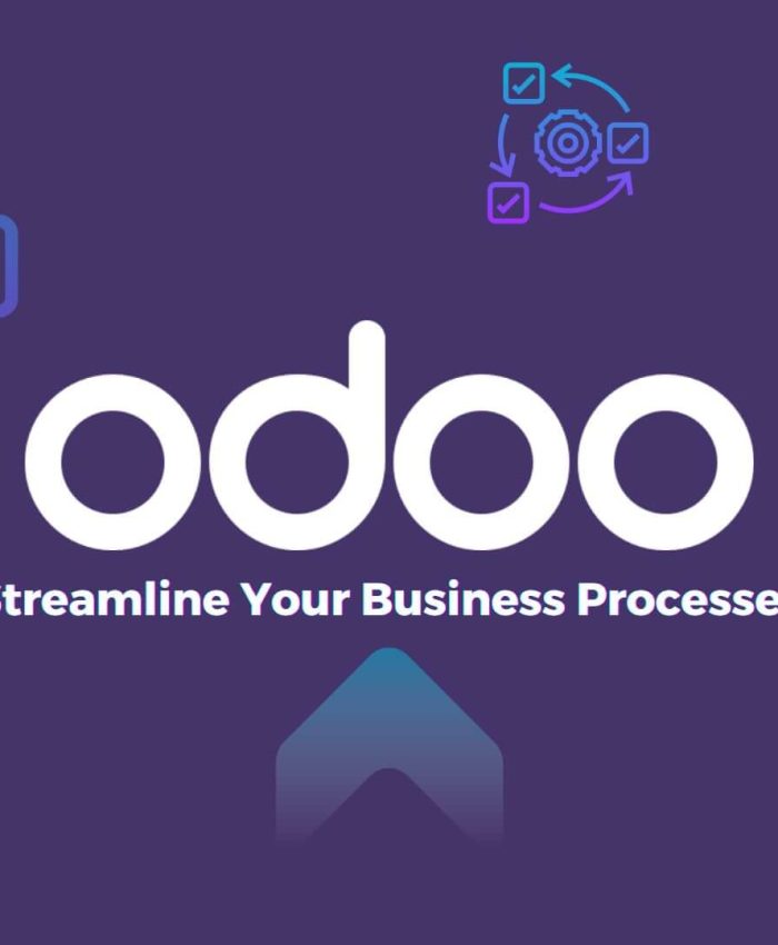 Odoo Open Source Implementation